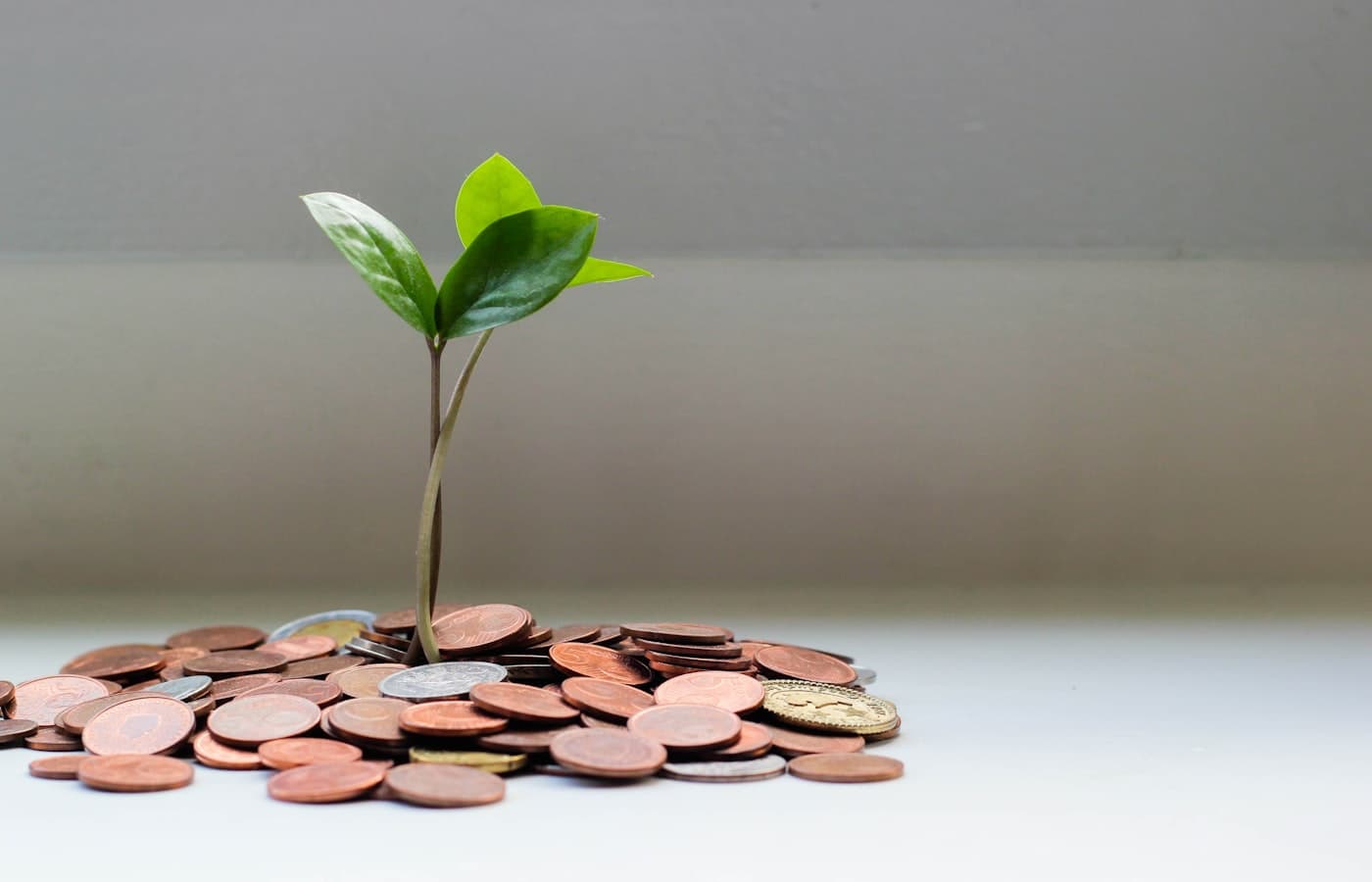 Finanse i składki przedsiębiorcy